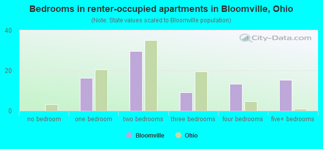 Bedrooms in renter-occupied apartments in Bloomville, Ohio