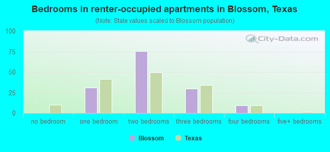 Bedrooms in renter-occupied apartments in Blossom, Texas