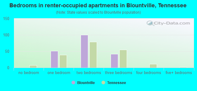 Bedrooms in renter-occupied apartments in Blountville, Tennessee