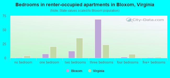 Bedrooms in renter-occupied apartments in Bloxom, Virginia