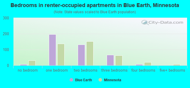 Bedrooms in renter-occupied apartments in Blue Earth, Minnesota
