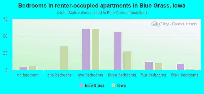 Bedrooms in renter-occupied apartments in Blue Grass, Iowa
