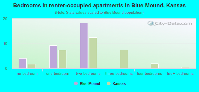 Bedrooms in renter-occupied apartments in Blue Mound, Kansas
