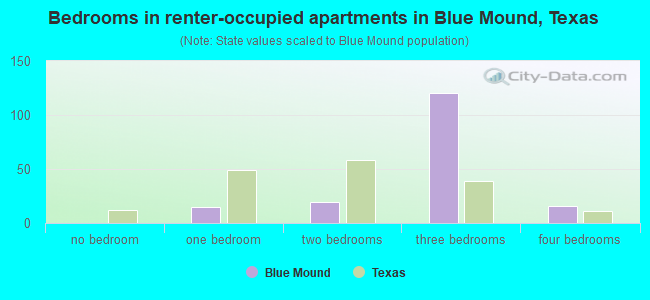 Bedrooms in renter-occupied apartments in Blue Mound, Texas