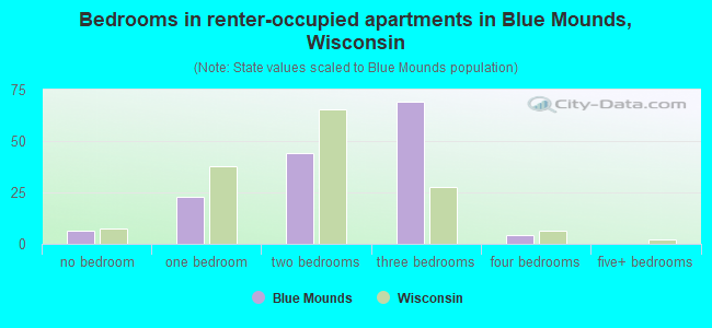 Bedrooms in renter-occupied apartments in Blue Mounds, Wisconsin