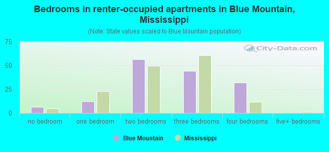 Bedrooms in renter-occupied apartments in Blue Mountain, Mississippi