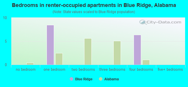 Bedrooms in renter-occupied apartments in Blue Ridge, Alabama