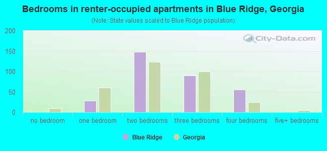 Bedrooms in renter-occupied apartments in Blue Ridge, Georgia