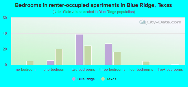 Bedrooms in renter-occupied apartments in Blue Ridge, Texas