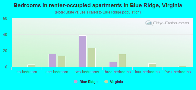 Bedrooms in renter-occupied apartments in Blue Ridge, Virginia