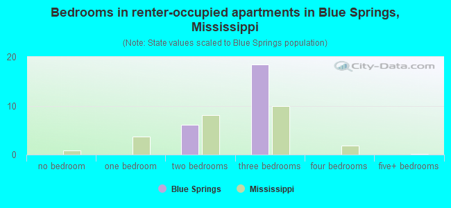 Bedrooms in renter-occupied apartments in Blue Springs, Mississippi