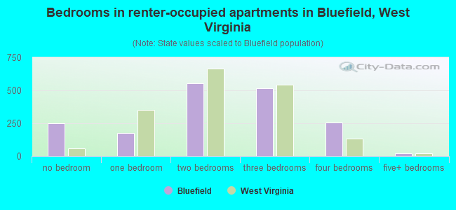 Bedrooms in renter-occupied apartments in Bluefield, West Virginia
