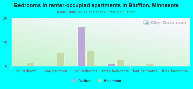 Bedrooms in renter-occupied apartments in Bluffton, Minnesota