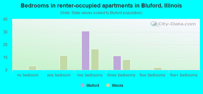 Bedrooms in renter-occupied apartments in Bluford, Illinois