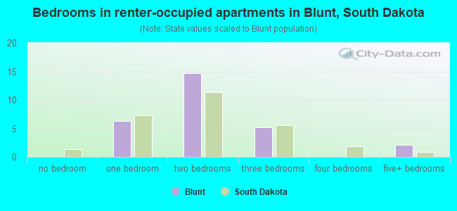 Bedrooms in renter-occupied apartments in Blunt, South Dakota