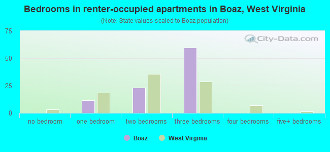 Bedrooms in renter-occupied apartments in Boaz, West Virginia