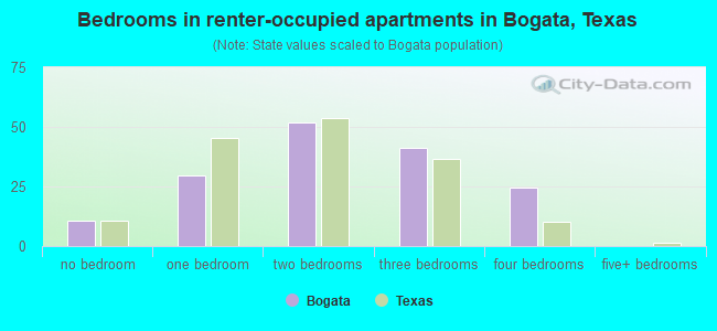 Bedrooms in renter-occupied apartments in Bogata, Texas
