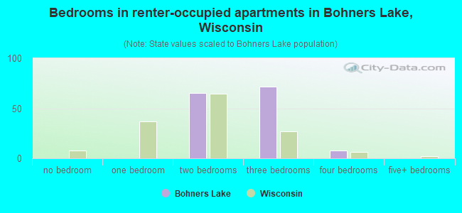 Bedrooms in renter-occupied apartments in Bohners Lake, Wisconsin