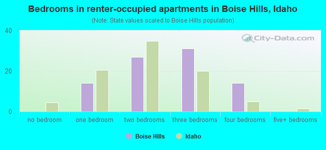 Bedrooms in renter-occupied apartments in Boise Hills, Idaho