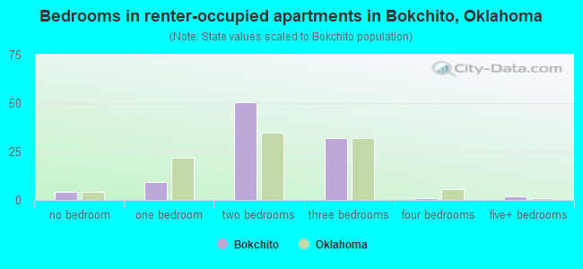 Bedrooms in renter-occupied apartments in Bokchito, Oklahoma
