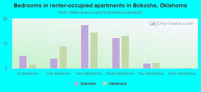 Bedrooms in renter-occupied apartments in Bokoshe, Oklahoma