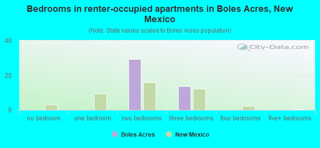 Bedrooms in renter-occupied apartments in Boles Acres, New Mexico