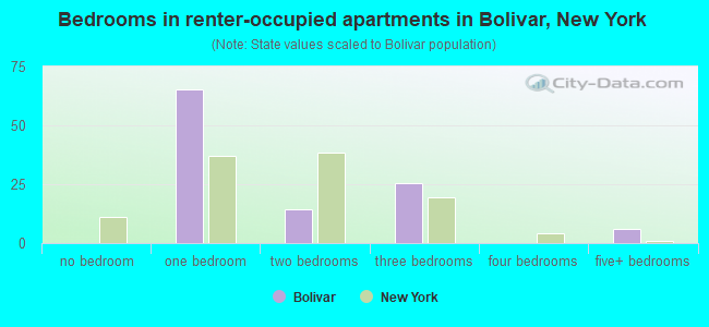 Bedrooms in renter-occupied apartments in Bolivar, New York