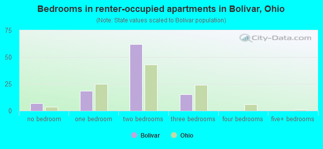 Bedrooms in renter-occupied apartments in Bolivar, Ohio