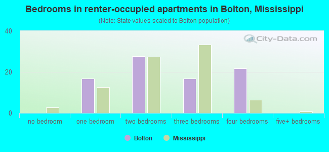 Bedrooms in renter-occupied apartments in Bolton, Mississippi