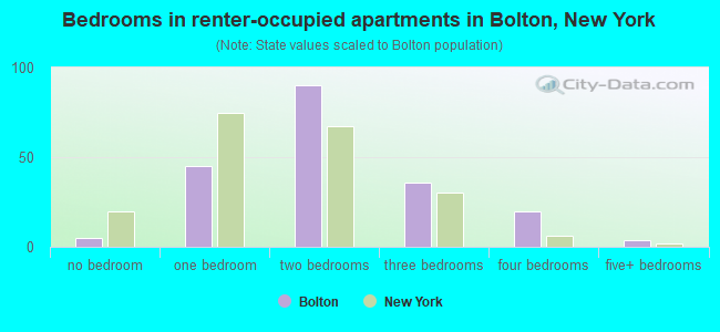 Bedrooms in renter-occupied apartments in Bolton, New York