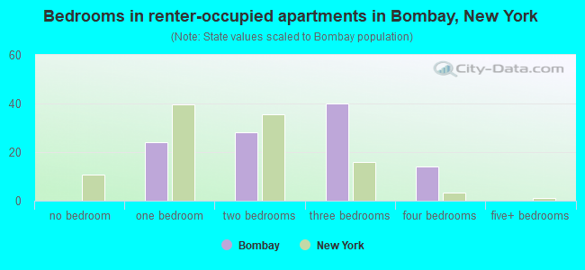 Bedrooms in renter-occupied apartments in Bombay, New York