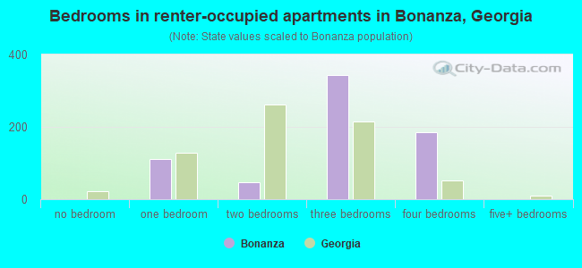 Bedrooms in renter-occupied apartments in Bonanza, Georgia