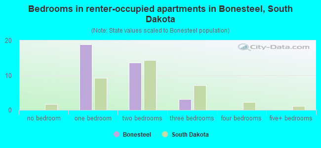 Bedrooms in renter-occupied apartments in Bonesteel, South Dakota