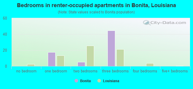 Bedrooms in renter-occupied apartments in Bonita, Louisiana