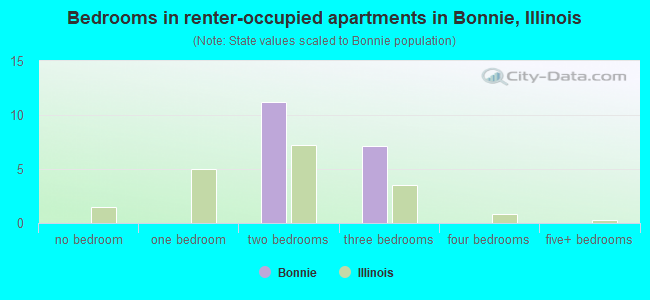 Bedrooms in renter-occupied apartments in Bonnie, Illinois