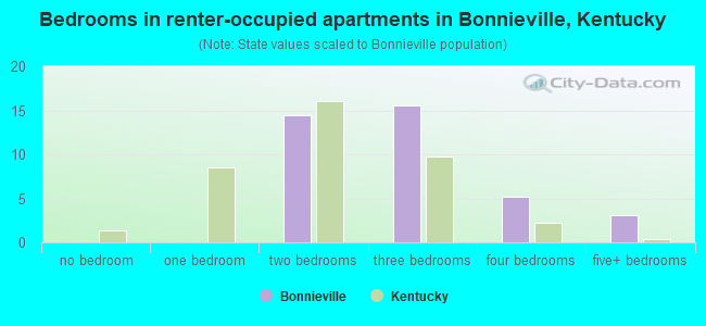 Bedrooms in renter-occupied apartments in Bonnieville, Kentucky