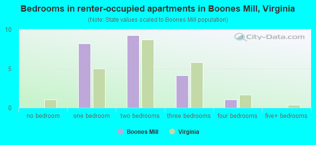Bedrooms in renter-occupied apartments in Boones Mill, Virginia