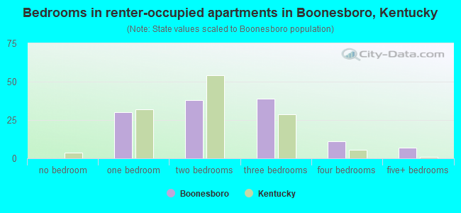 Bedrooms in renter-occupied apartments in Boonesboro, Kentucky