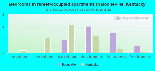 Bedrooms in renter-occupied apartments in Booneville, Kentucky