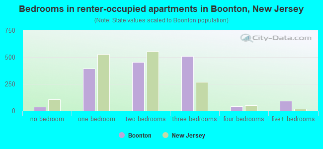 Bedrooms in renter-occupied apartments in Boonton, New Jersey