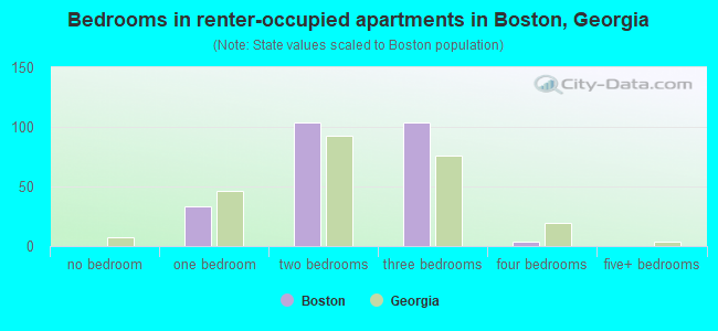Bedrooms in renter-occupied apartments in Boston, Georgia