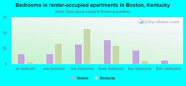 Bedrooms in renter-occupied apartments in Boston, Kentucky