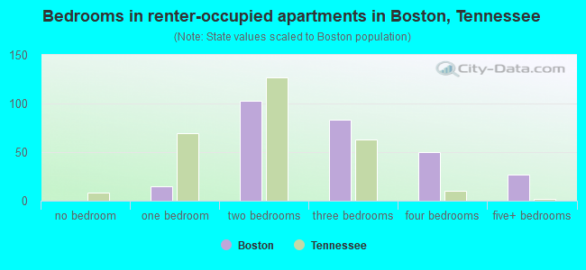 Bedrooms in renter-occupied apartments in Boston, Tennessee
