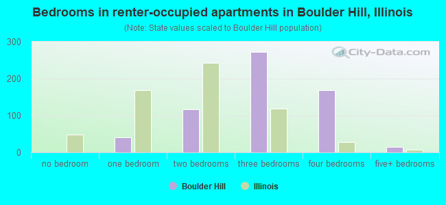 Bedrooms in renter-occupied apartments in Boulder Hill, Illinois
