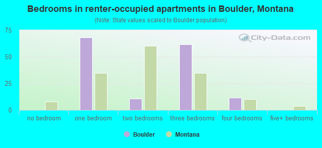 Bedrooms in renter-occupied apartments in Boulder, Montana