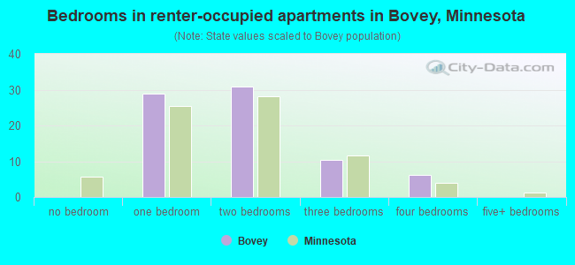 Bedrooms in renter-occupied apartments in Bovey, Minnesota