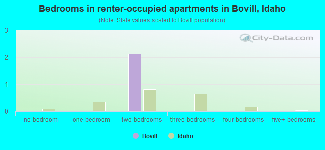 Bedrooms in renter-occupied apartments in Bovill, Idaho