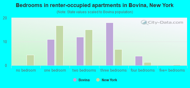 Bedrooms in renter-occupied apartments in Bovina, New York
