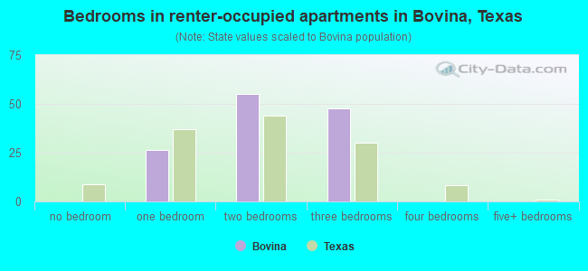 Bedrooms in renter-occupied apartments in Bovina, Texas