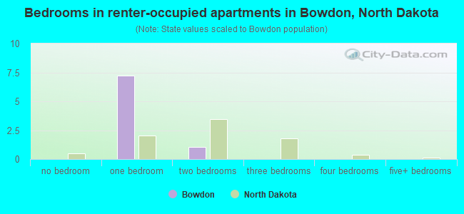 Bedrooms in renter-occupied apartments in Bowdon, North Dakota